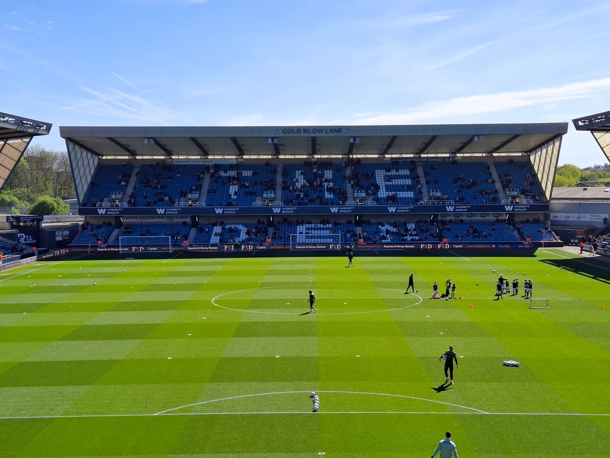 Daniel Tortoise tweet media