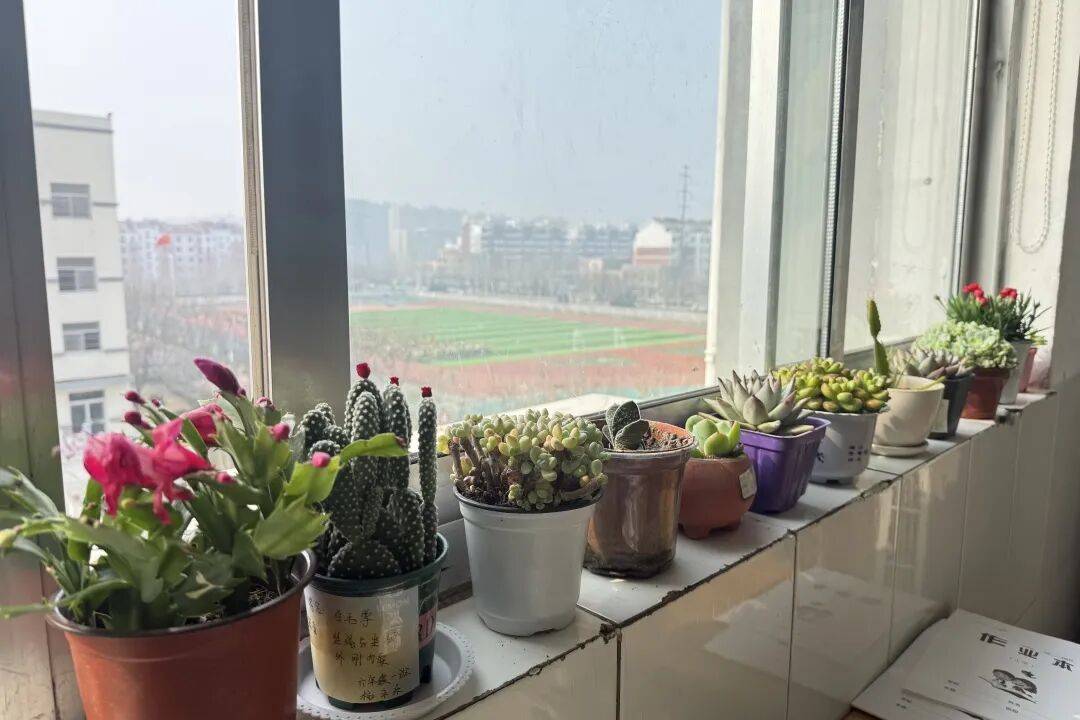 wongwingman tweet media