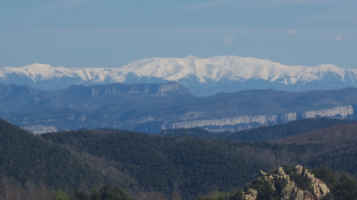 Felix 't Hart tweet media