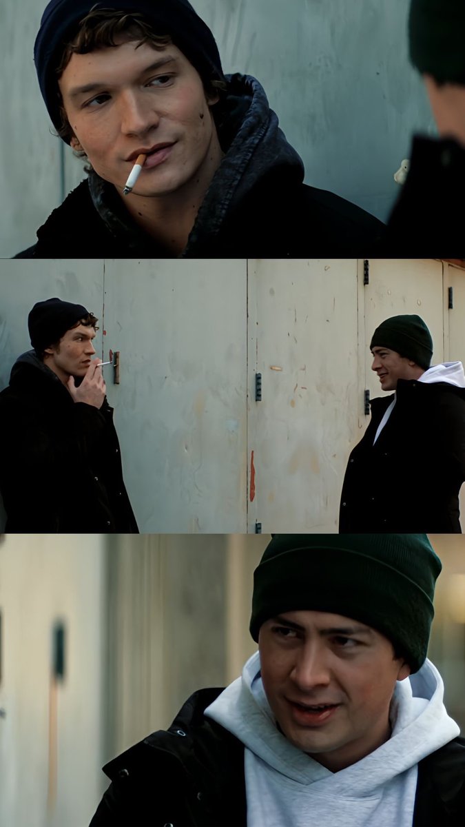 stupid canadian wolf bird tweet media