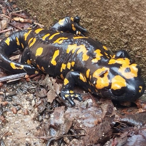 Boşuna Tıklama tweet media