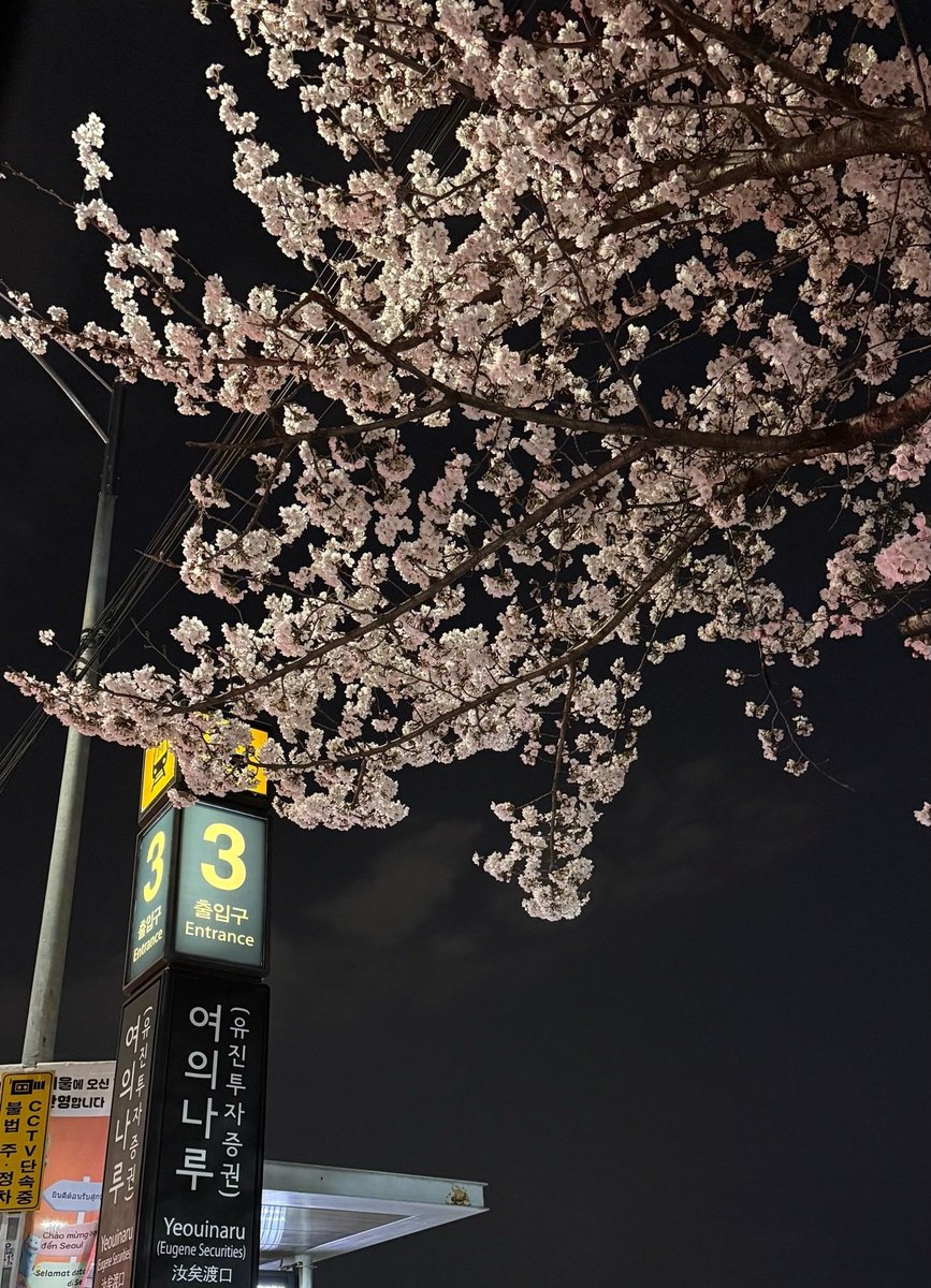 시리얼 tweet media