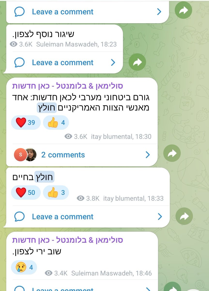 Chaim Levinson tweet media