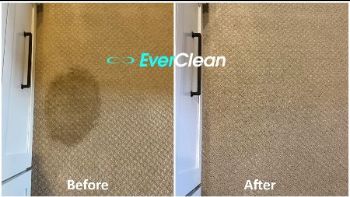 EverCleanTN's tweet photo. Getting Free Service is Easy - https://t.co/FfsSdH5wiG https://t.co/tUkQrmUiv6
