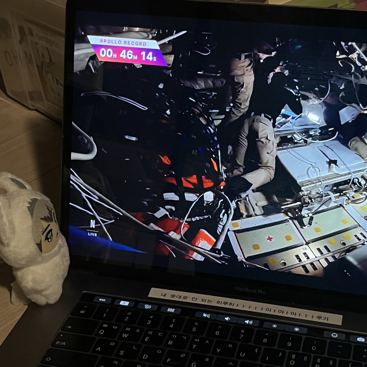 ちゃんと (중도에서책빌리기) tweet media