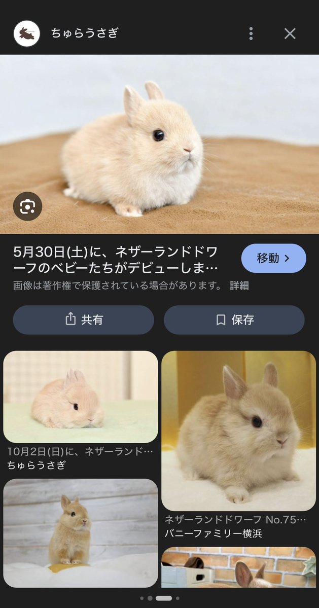 にゃおたろう tweet media