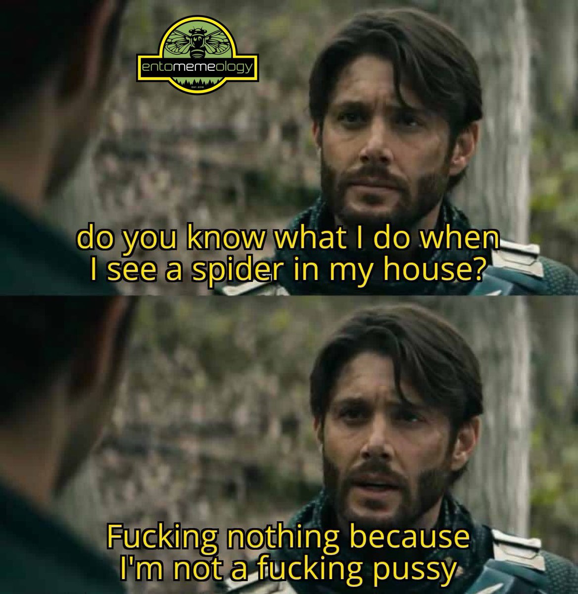 Entomemeology tweet media