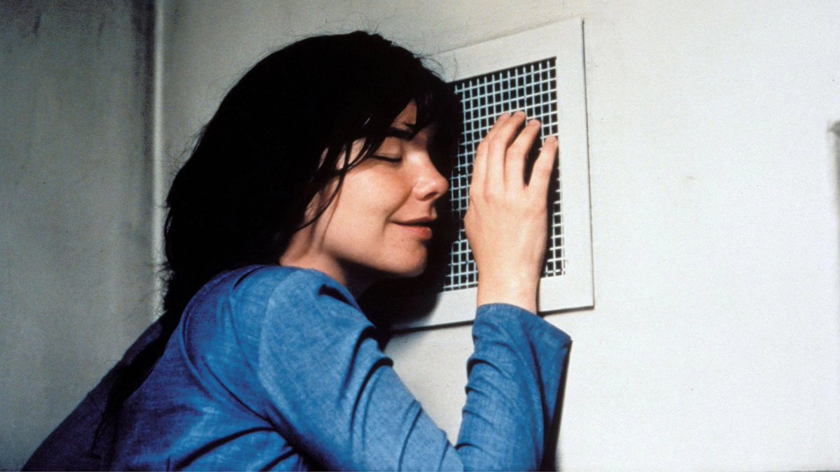 مُحمد tweet media