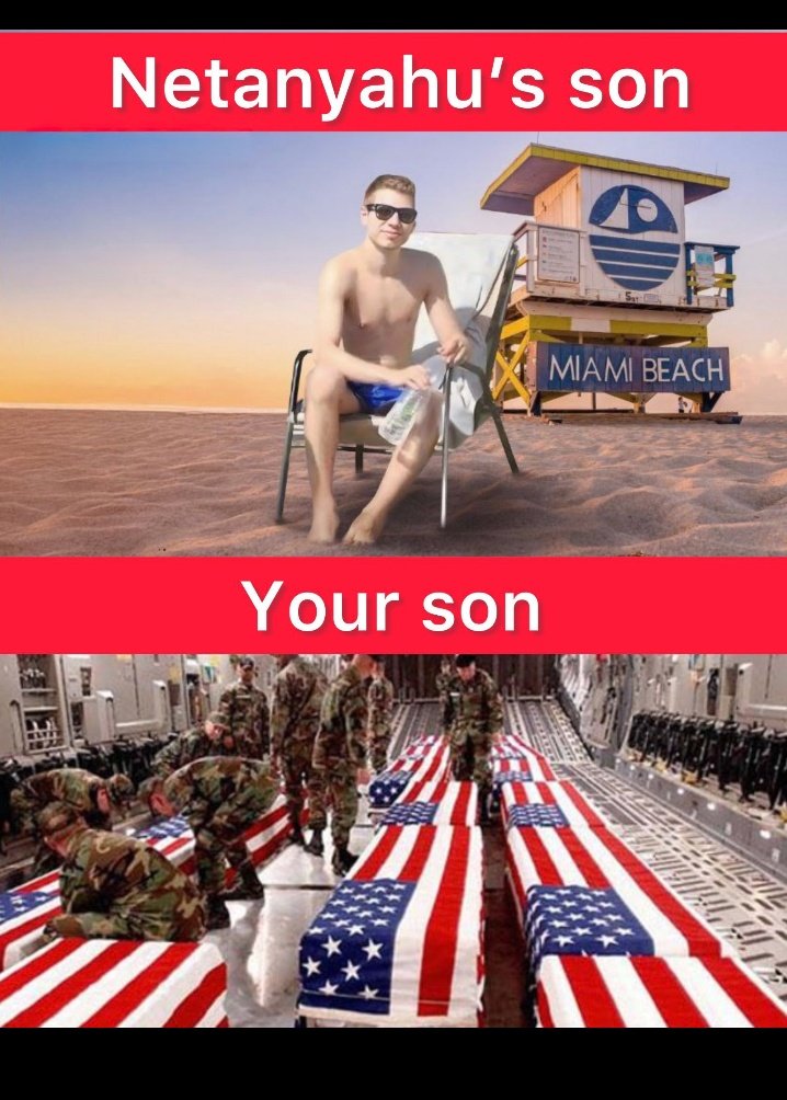 MEVLÜT ŞAHİN tweet media