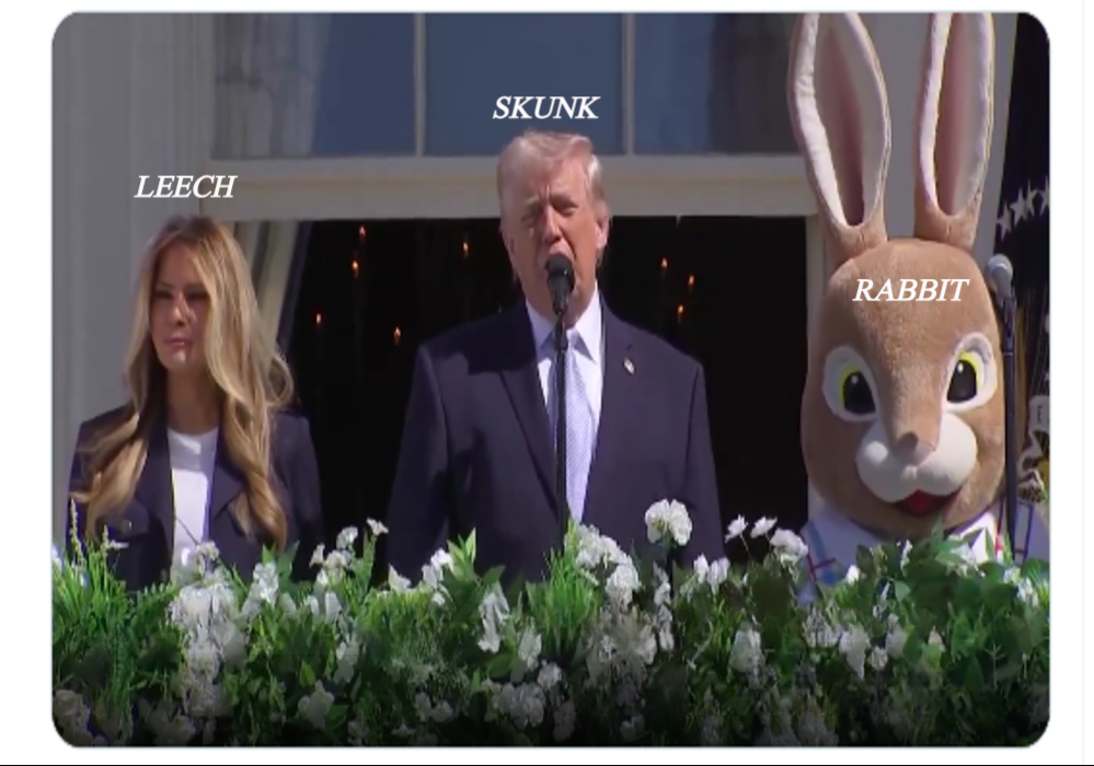 Alan Howard Zinn tweet media