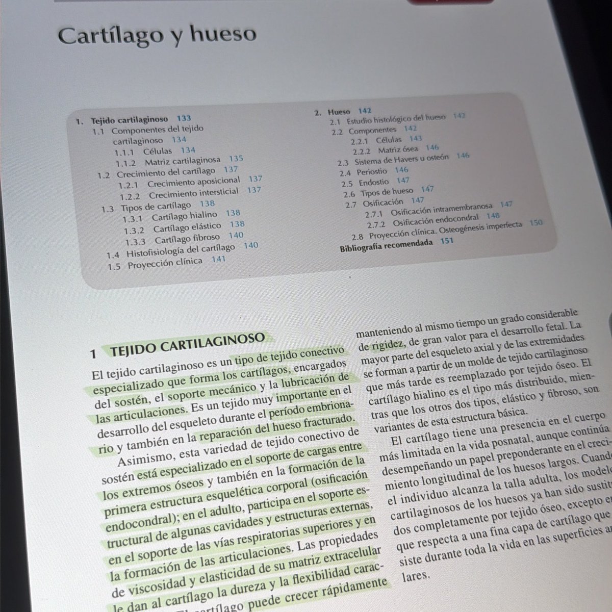 fini (luciel) 🐾 tweet media