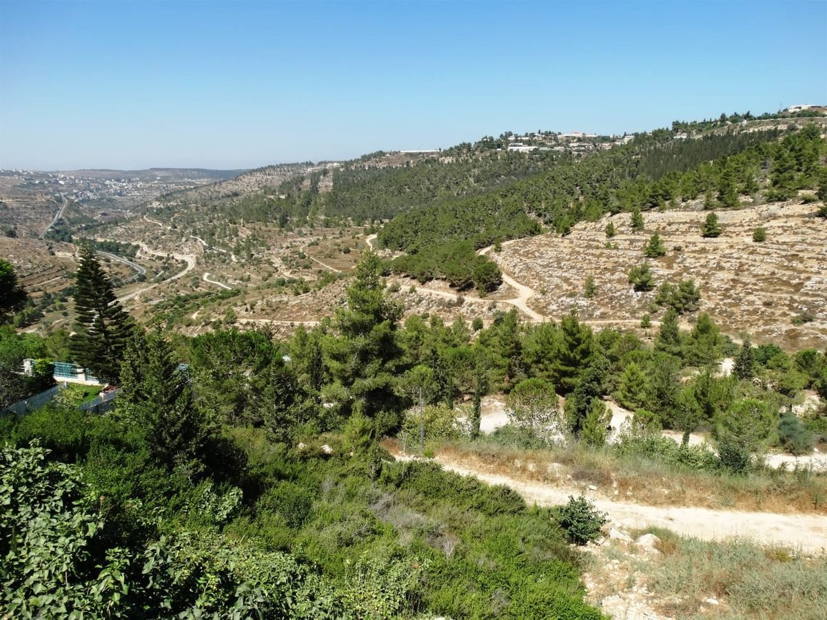 Turcopole tweet media