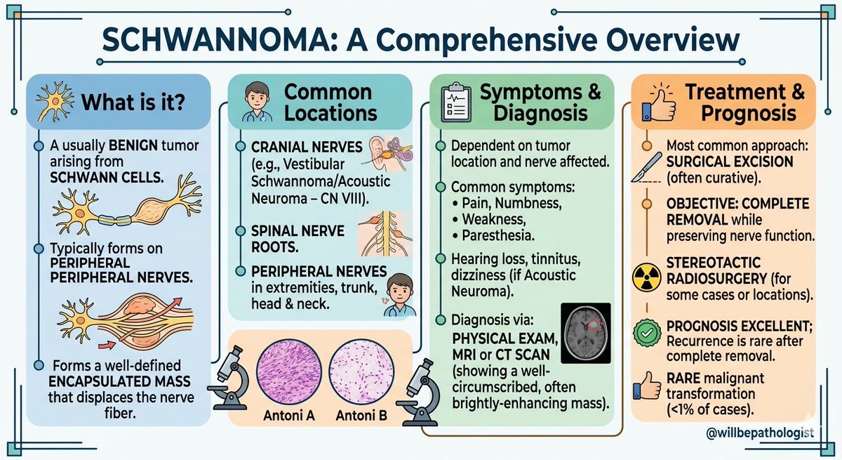 senaadsizdayanc's tweet photo. SCHWANNOMA
#softtissue #pathology #pathresidents #lovepath https://t.co/Upb8L8h5ON