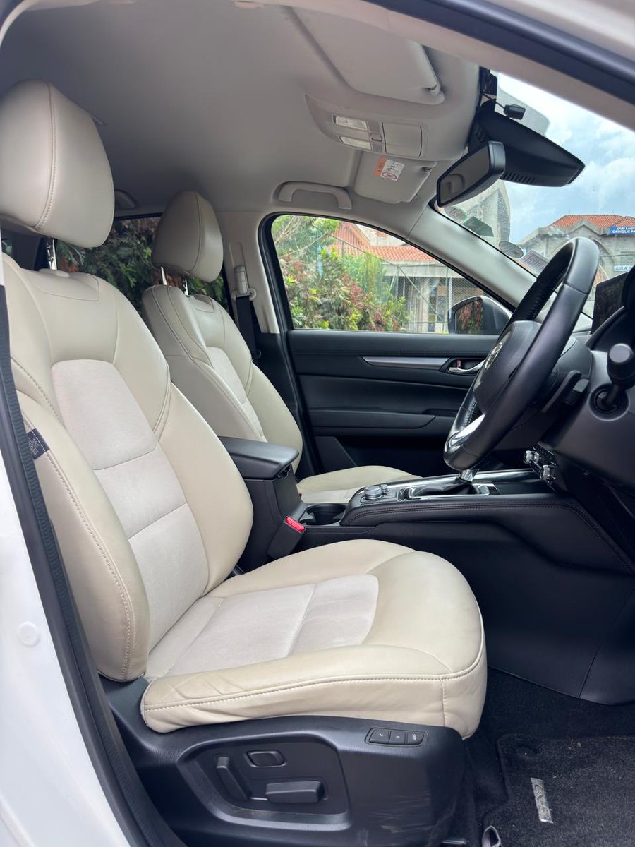 Iron Lady. (African Jacana) tweet media