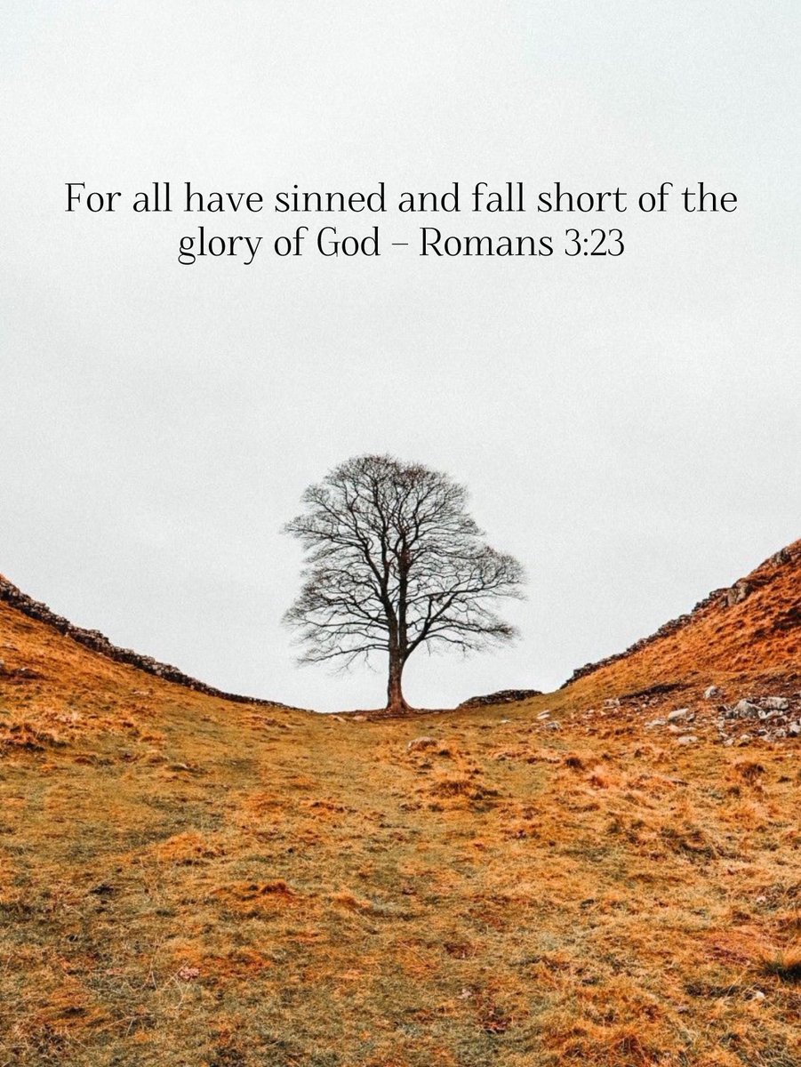 Holy Bible tweet media