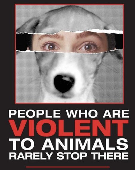 PROTECT ALL WILDLIFE tweet media