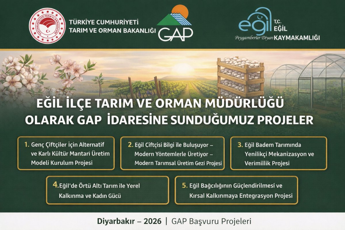 mzekiefe's tweet photo. Eğil’in bereketli topraklarındaki 12 yıllık tecrübemizle, hazırladığımız 5 vizyoner projeyi @gapidaresi’ne sunduk!

Hedefimiz: 2027'de Eğil'i tarımda parlayan bir yıldız yapmak.

Emek bizden, takdir makamın, dua sizlerin 🤲🌿

@Hasan_maral @Volkanhulur @adil_alan @vali_zorluoglu https://t.co/ubHDmMpdR3