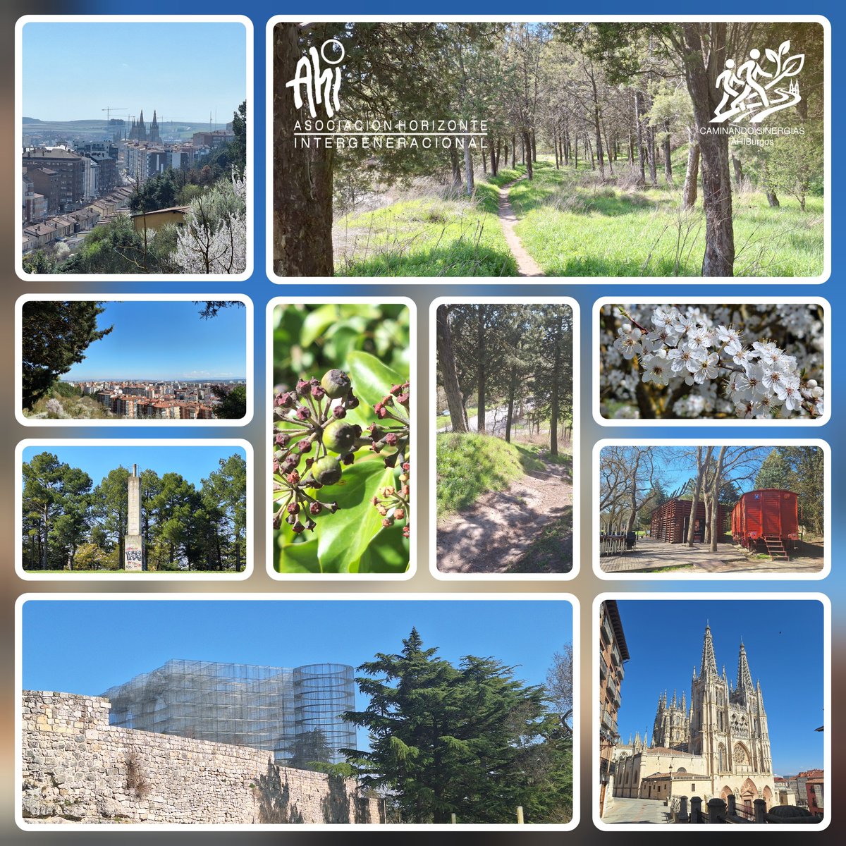 ahiburgos's tweet photo. 🌱🚶‍♂️ Caminando Sinergias AHIBurgos – Abril 2026 🌸🌞
Naturaleza, vistas y buena compañía… dos fechas para parar, caminar y reconectar. 🌿✨

📅 12 y 14 abr 2026 · Burgos
📍 Foro Solidario Caja de Burgos · 12:00h / 17:30h

👉 Más info: https://t.co/WYgbkqGYgo
#CaminandoSinergias https://t.co/Z2NPYH5i5N