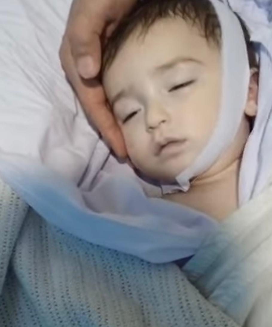 Panra 🌿 tweet media