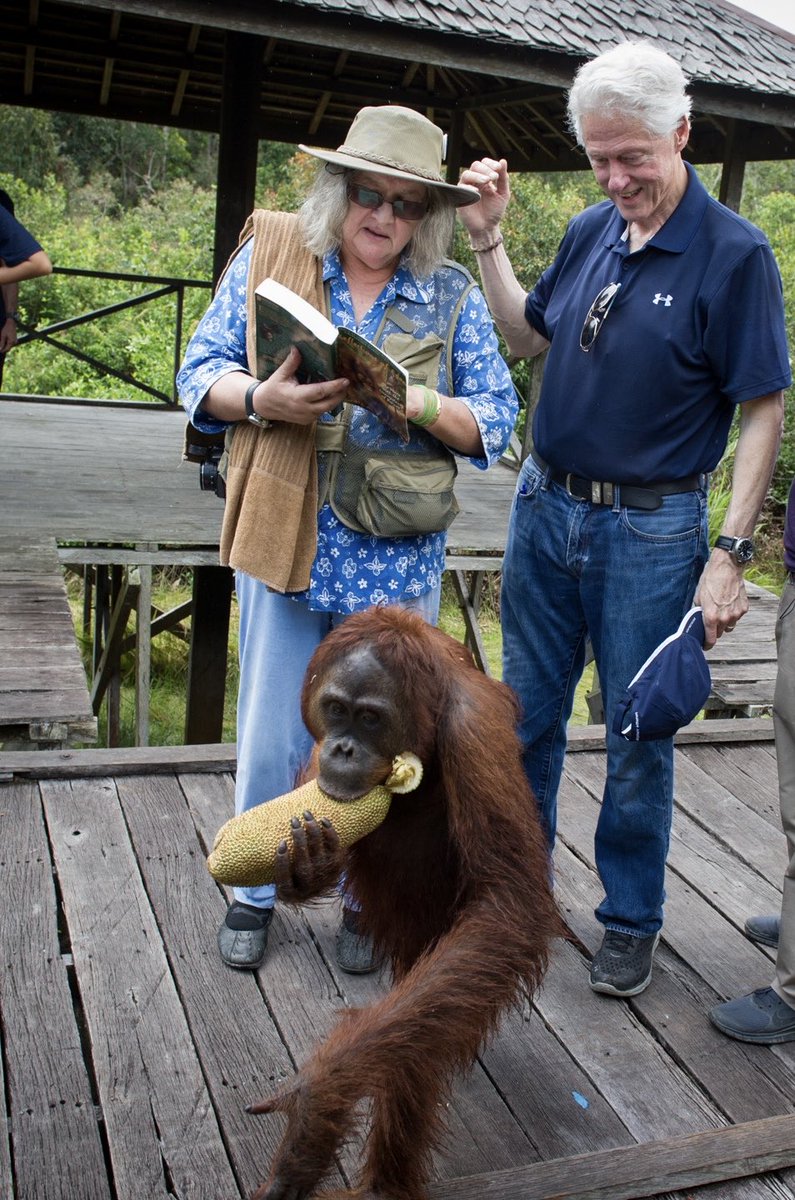 Bill Clinton tweet media