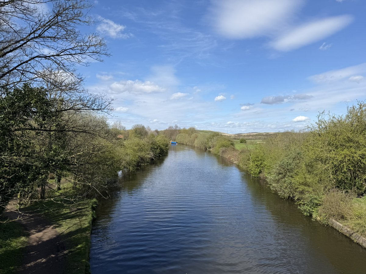 rly cool girl tweet media