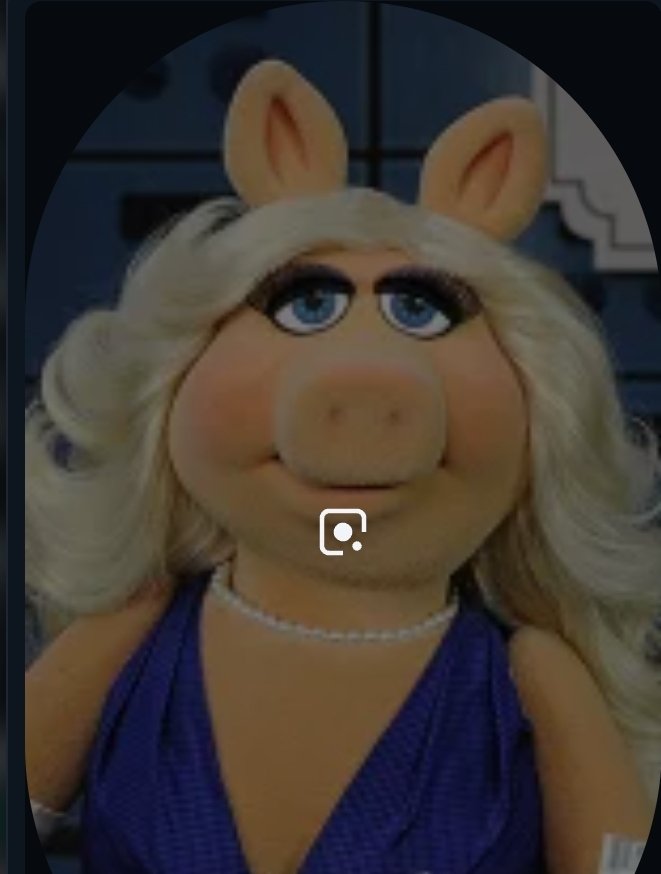 StreetFrogCrypto tweet media