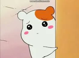 🎪광놀하는 삼스타 tweet media