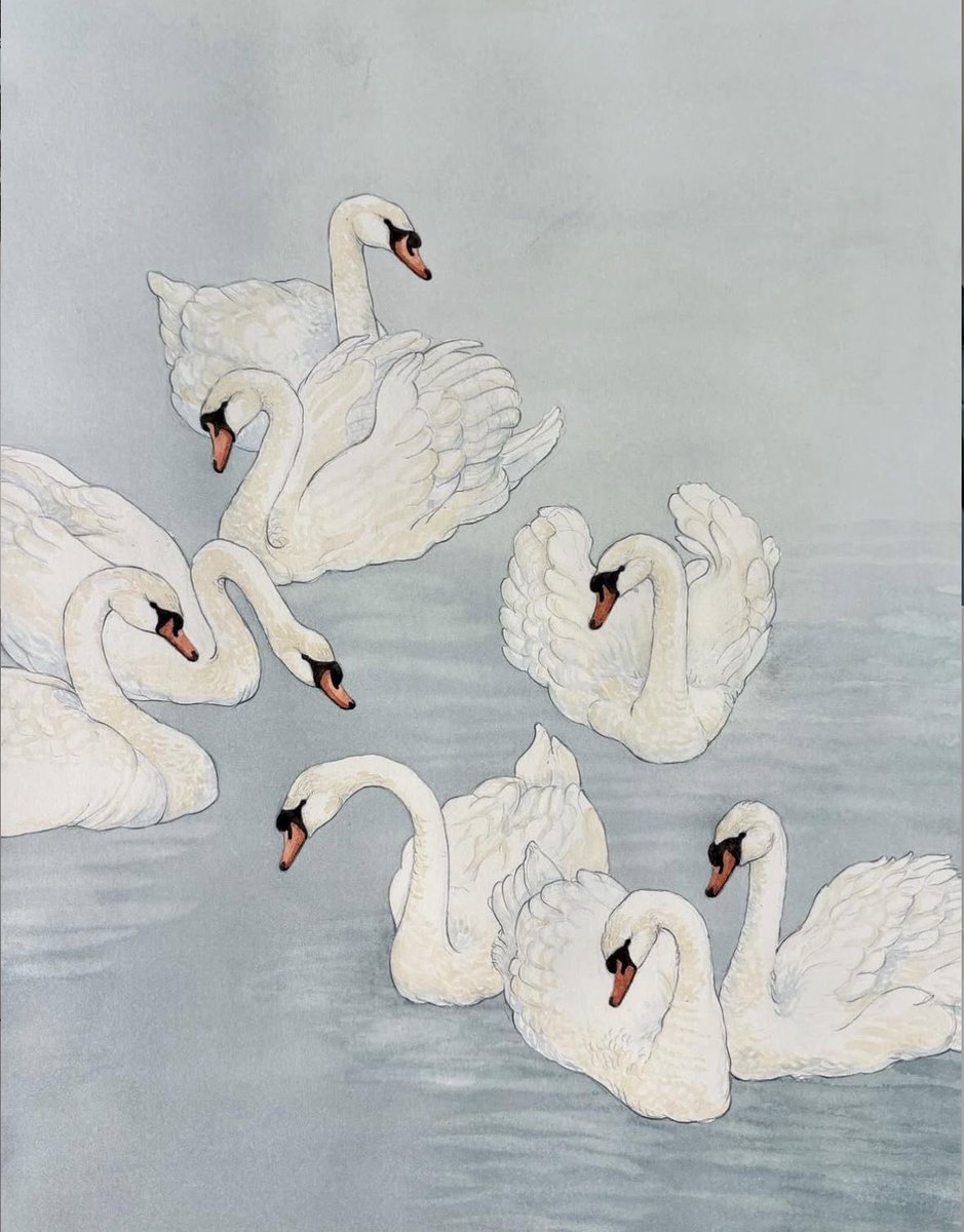 Lily ✮⋆˙ tweet media