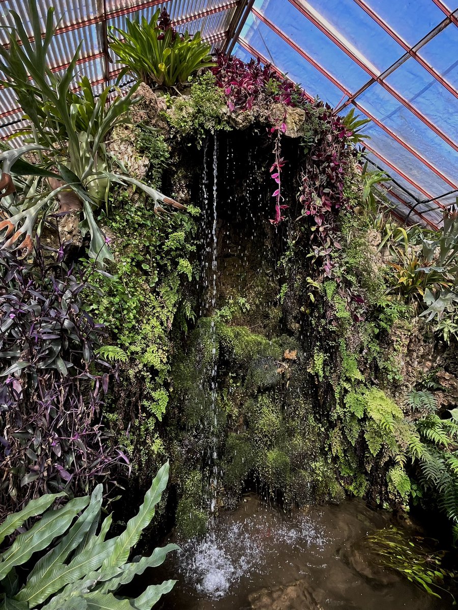 perdu dans les cévennes