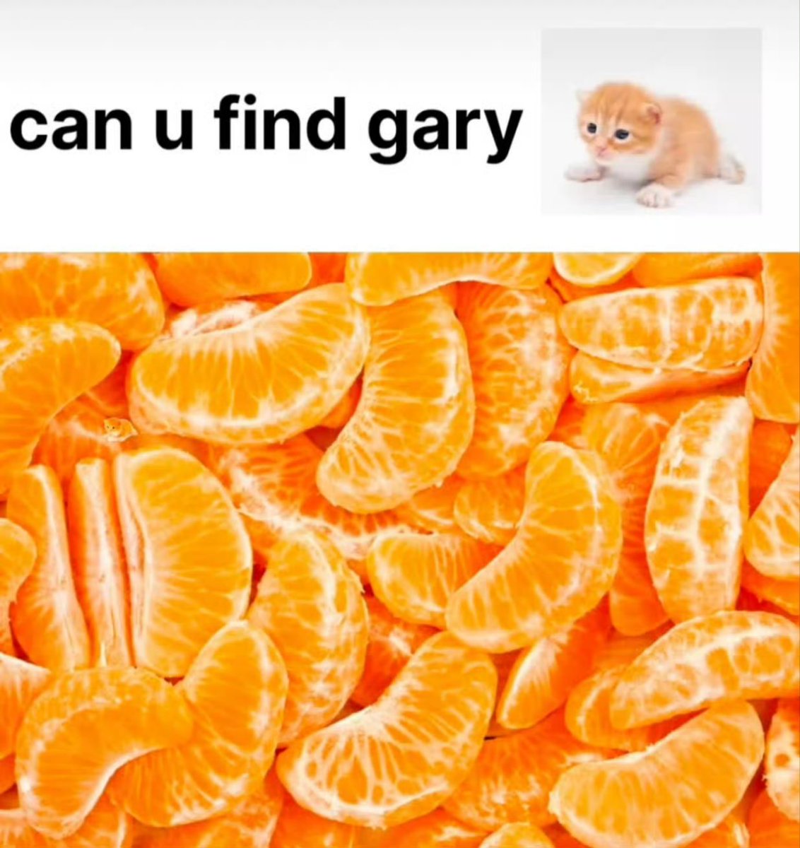 zzz小茜🍏 tweet media