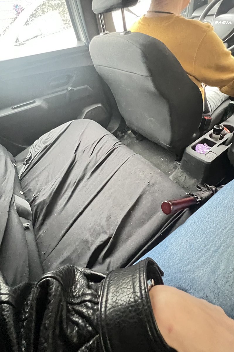 Sofia Gama tweet media