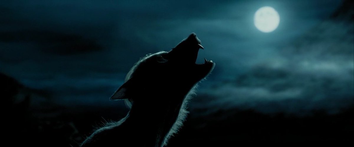 Harry Potter Universe tweet media