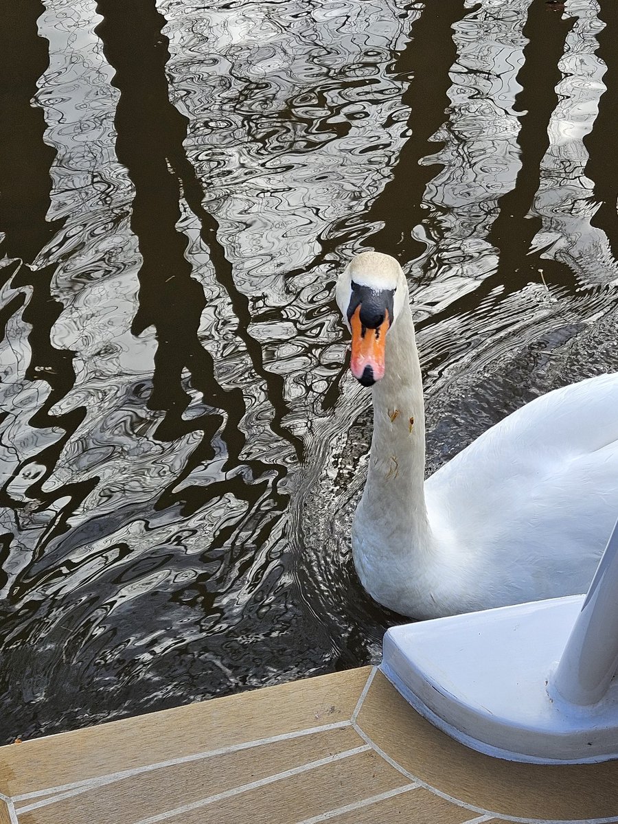 #boatingmondays 2 days in Ellesmere stocking up on food &amp; diesel. Then cruised up to Prees junction over the week while avoiding Storm Dave. Very windy at times but some good solar.  #BearsAfloat #electricboats #boatsthattweet #ortomader