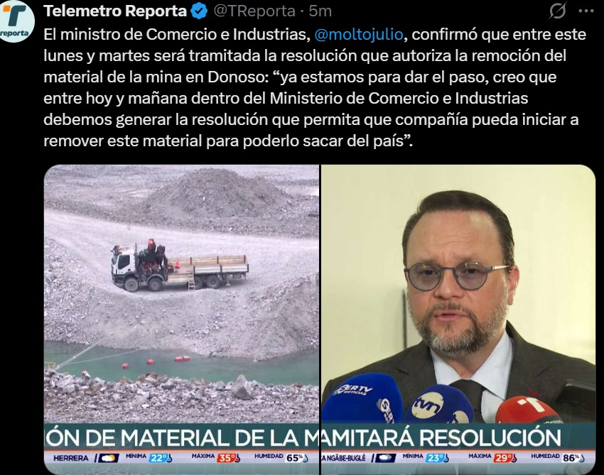 El Loro De Panamá Es Verde tweet media