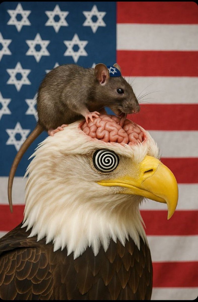 Noticias del otro lado2 tweet media