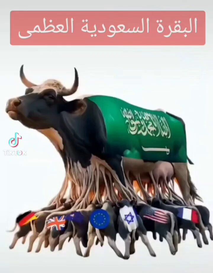 Ahmed Shwky tweet media