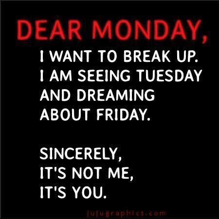 Melanie S. TX tweet media