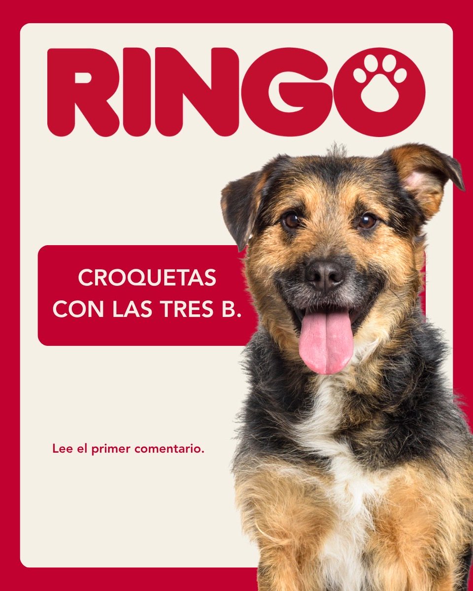 Efecto Ringo tweet media