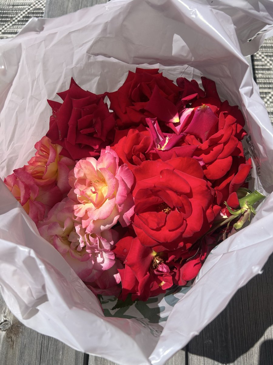 Robin McCartney tweet media