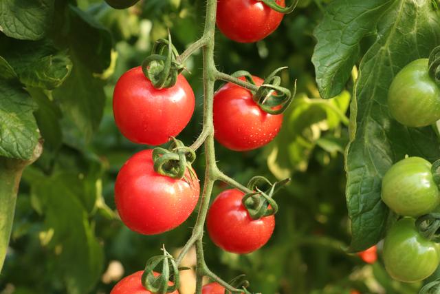 Vodootvod tweet media