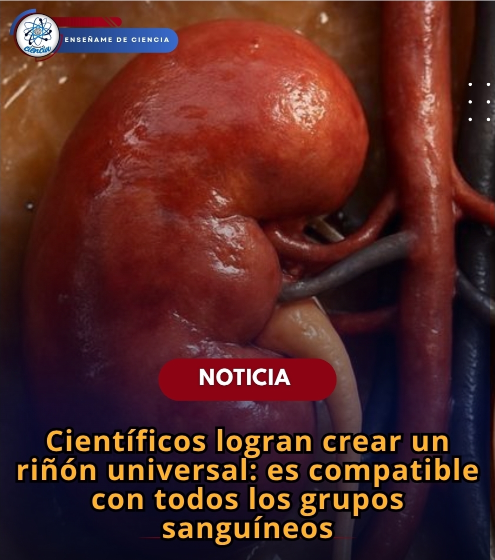 Enséñame de Ciencia tweet media