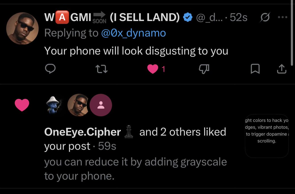 0xdynamo⚡️ tweet media