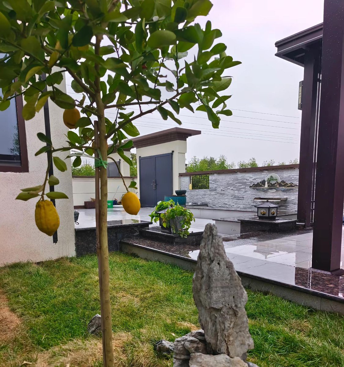 newyorkcboy's tweet photo. Neighbors turned friends!  Shared a homegrown tomato harvest, swapped garden tips, and laughed over iced tea. Small moments, big joy. #NeighborLove #CommunityVibes https://t.co/93jD9mqjsC