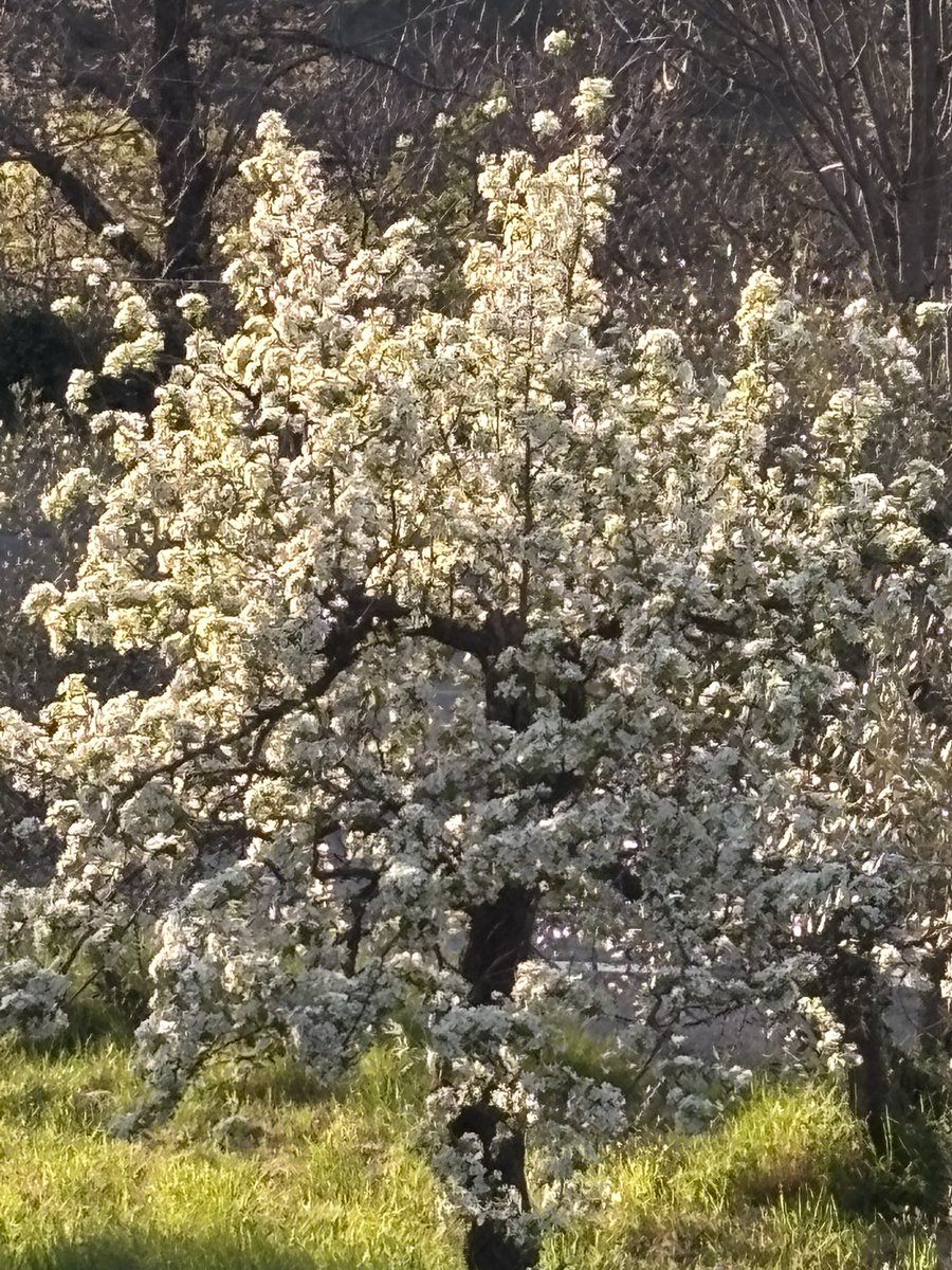 Katharina Scichi tweet media