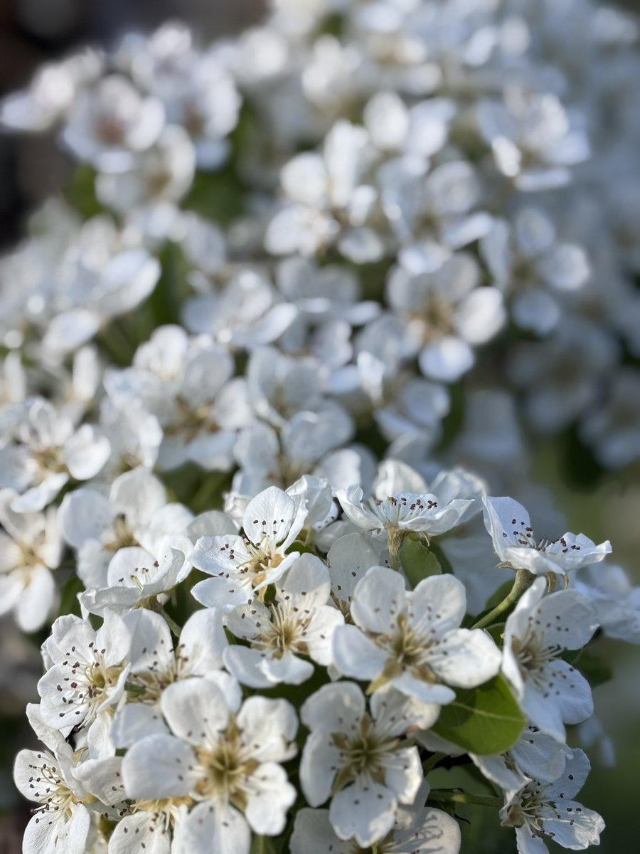 Katharina Scichi tweet media