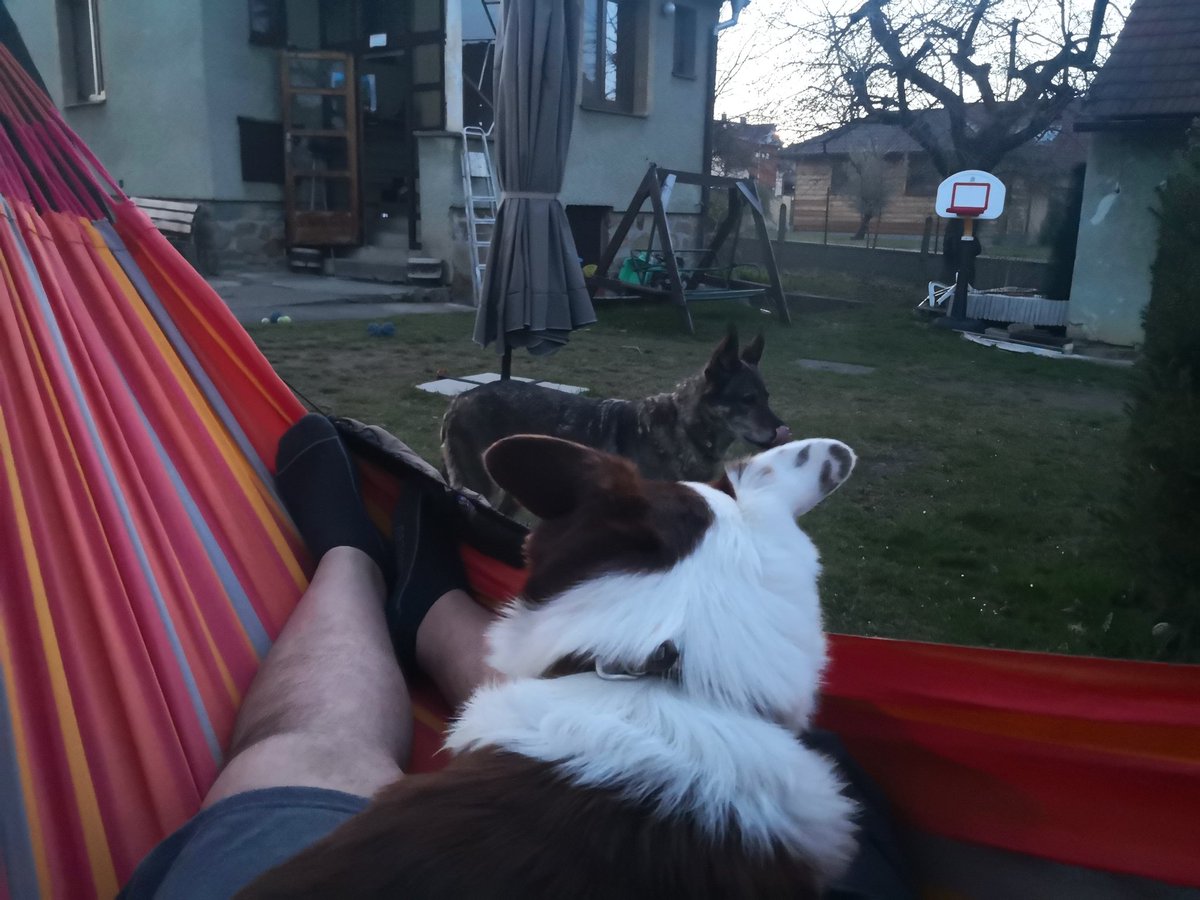 Max Devaine tweet media