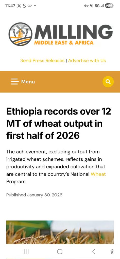 aniss 4rl tweet media