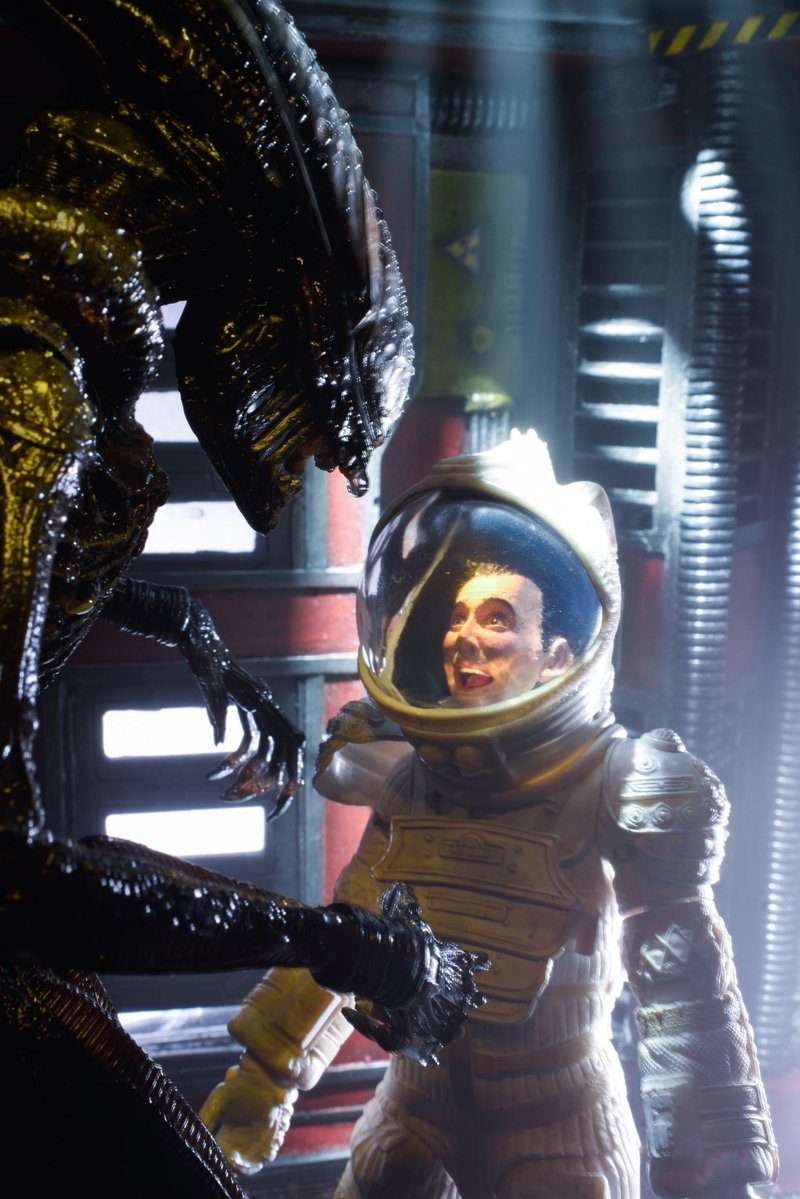 gangewifre1's tweet image. No one can hear you scream in space! 
#peeweeherman #alien #xenomorph