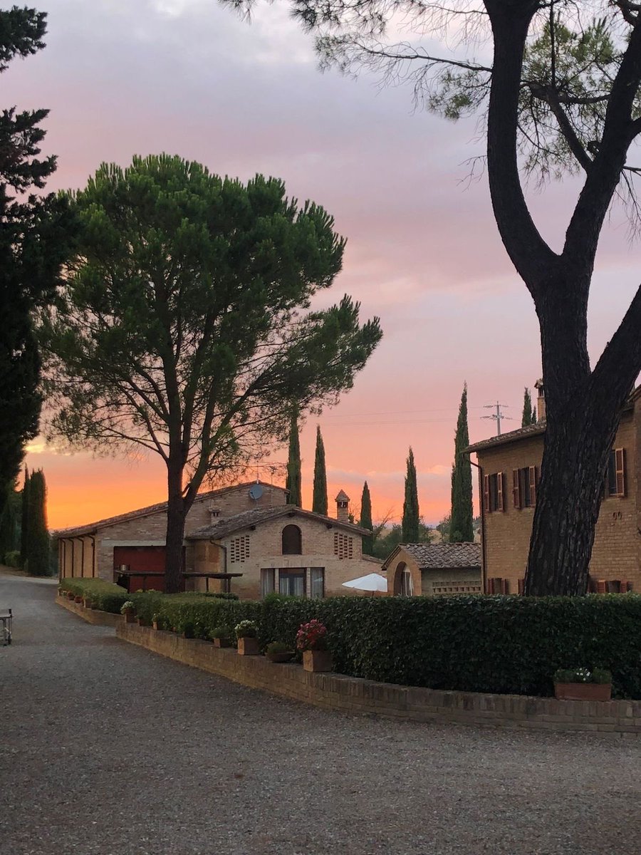 vistaaura tweet media