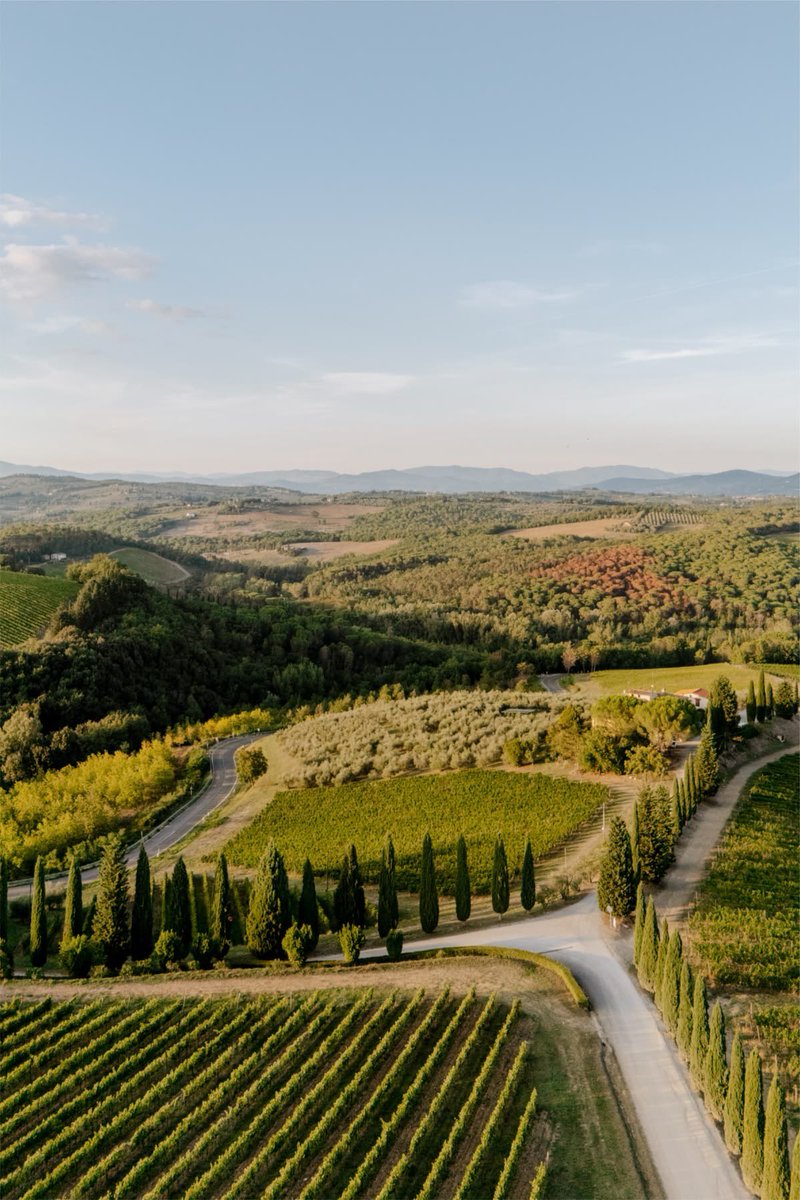 vistaaura tweet media